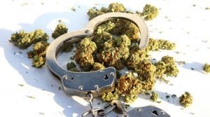 6B47632C-5962-4DF1-B7B1-A2563D3FE0DE-300x167 Possession of Marijuana (Cannabis) in Tijuana