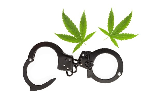 Marijuana leaves with handcuffs