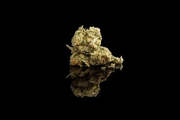 A marijuana bud