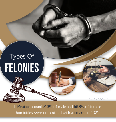 Info graphic: Types of Felonies
