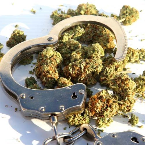 Marihuana crimes in tijuana