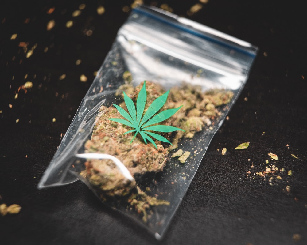 Cannabis in a bag